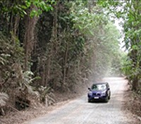 The Road to Cape Tribulation